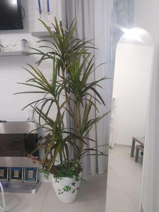 Appartamento Sofia House Living In The Heart Of *