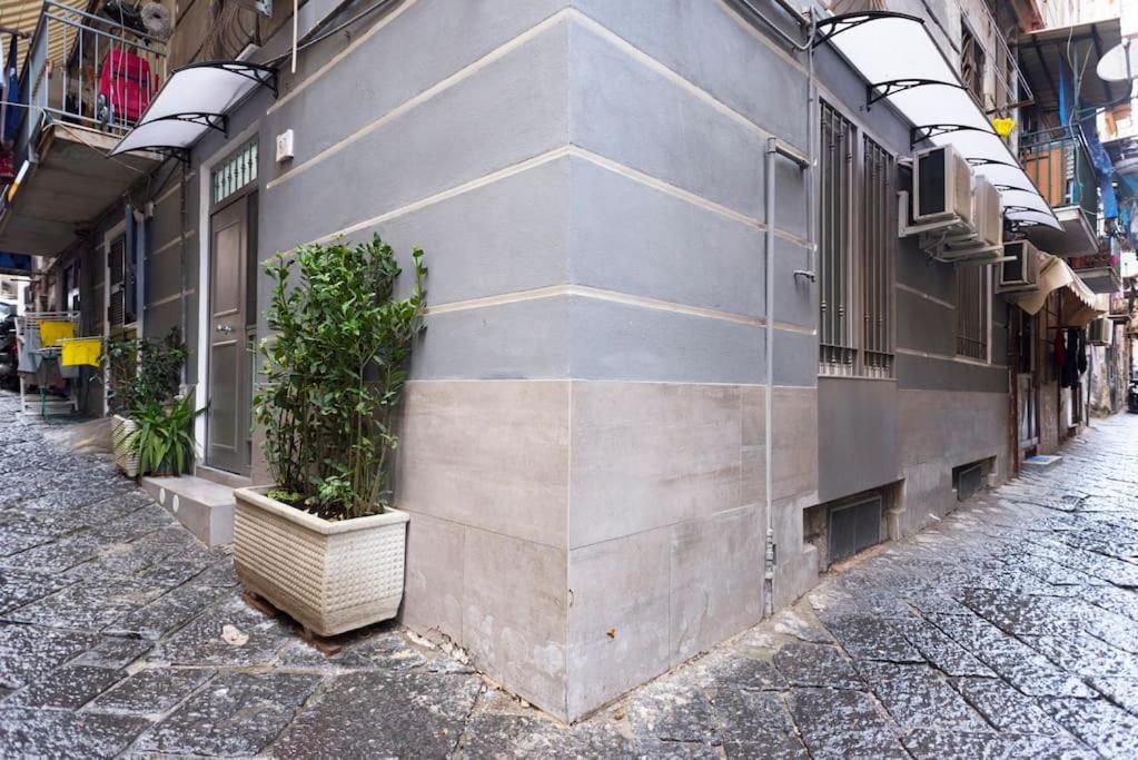 Sofia House Living In The Heart Of Appartamento Napoli